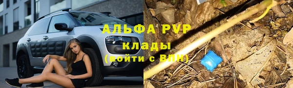 ешки Алзамай