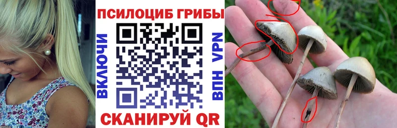 Галлюциногенные грибы прущие грибы  наркошоп  Шиханы 